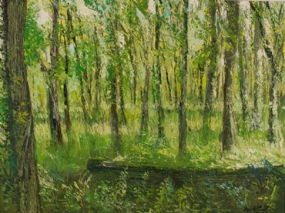 BALRATH WOODS, CO MEATH by David Paton  at Dolan's Art Auction House