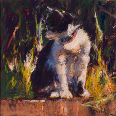 BLACK & WHITE CAT by Roger Dellar ROI at Dolan's Art Auction House