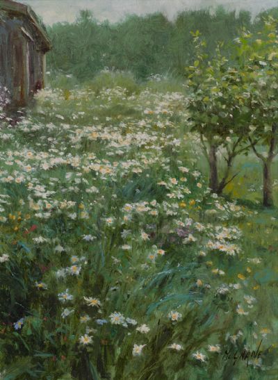 WILD DAISIES IN THE HAGGART by Henry McGrane  at Dolan's Art Auction House