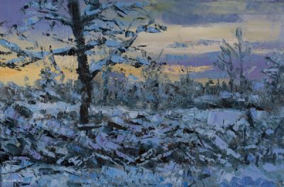 WINTER BLUES, IN EVENING LIGHT by Henry Morgan  at Dolan's Art Auction House