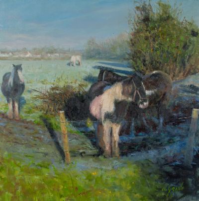 EARLY FROST, BOYNE VALLEY by Henry McGrane  at Dolan's Art Auction House