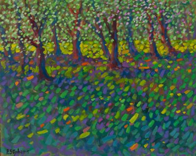 APPLE BLOSSOM ORCHARD, DAPPLED SUNLIGHT by Paul Stephens  at Dolan's Art Auction House