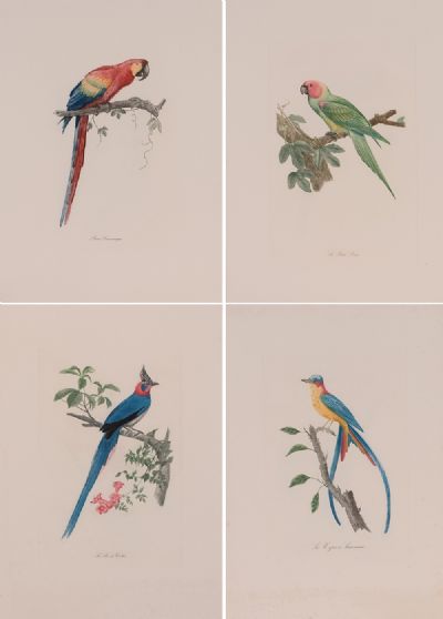 Four Hand-Coloured Etchings at Dolan's Art Auction House