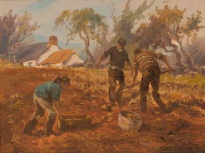 PICKING POTATOES by Donal McNaughton  at Dolan's Art Auction House