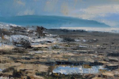 FLAGGY SHORE, THE BURREN NEAR NEWQUAY by Henry Morgan  at Dolan's Art Auction House