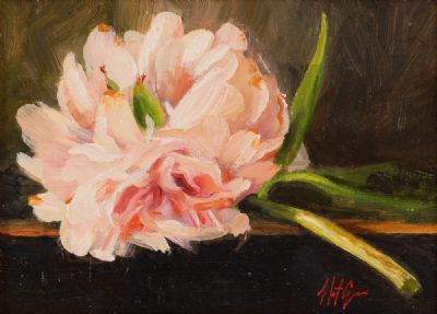 PINK PEONY ROSE by Mat Grogan  at Dolan's Art Auction House