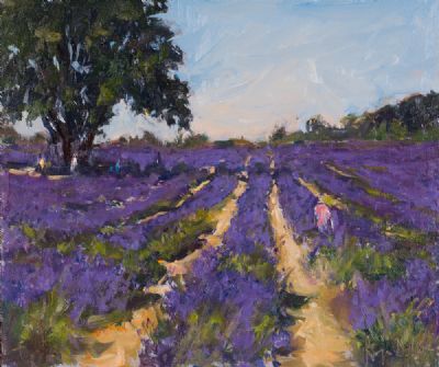 WORKING IN THE FIELDS OF LAVENDER by Roger Dellar ROI at Dolan's Art Auction House