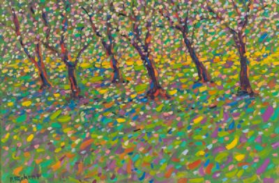 DAPPLED LIGHT ON THE APPLE BLOSSOM by Paul Stephens  at Dolan's Art Auction House