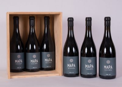 6 Bottles, Mapa Special Reserve Red Wine 2016 at Dolan's Art Auction House