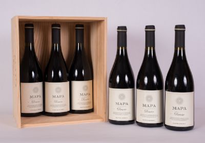 6 Bottles, Mapa Grand Reserve Red Wine 2019 at Dolan's Art Auction House