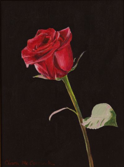RED ROSE by Ciara McCormack  at Dolan's Art Auction House