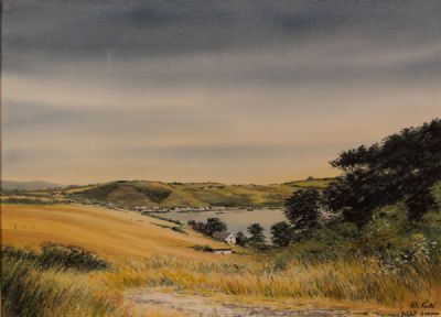 NEAR BALLYHACK, CO WEXFORD by Peter Knuttel  at Dolan's Art Auction House