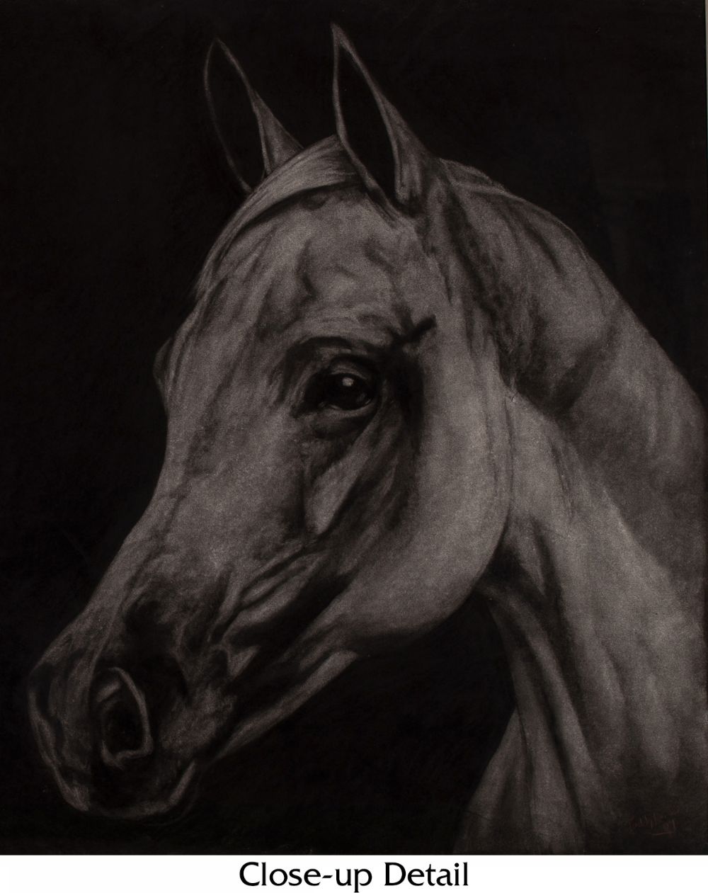 STUDY OF A HORSE by Paddy Lennon  at Dolan's Art Auction House