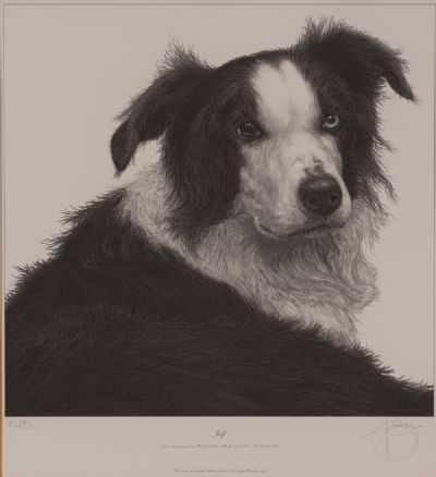 Sheepdog, Limited Edition Print at Dolan's Art Auction House