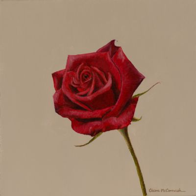 RED ROSE by Ciara McCormack  at Dolan's Art Auction House