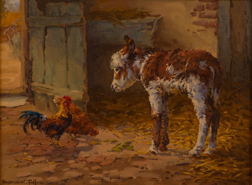 BABY DONKEY by Desmond Charles Tallon  at Dolan's Art Auction House