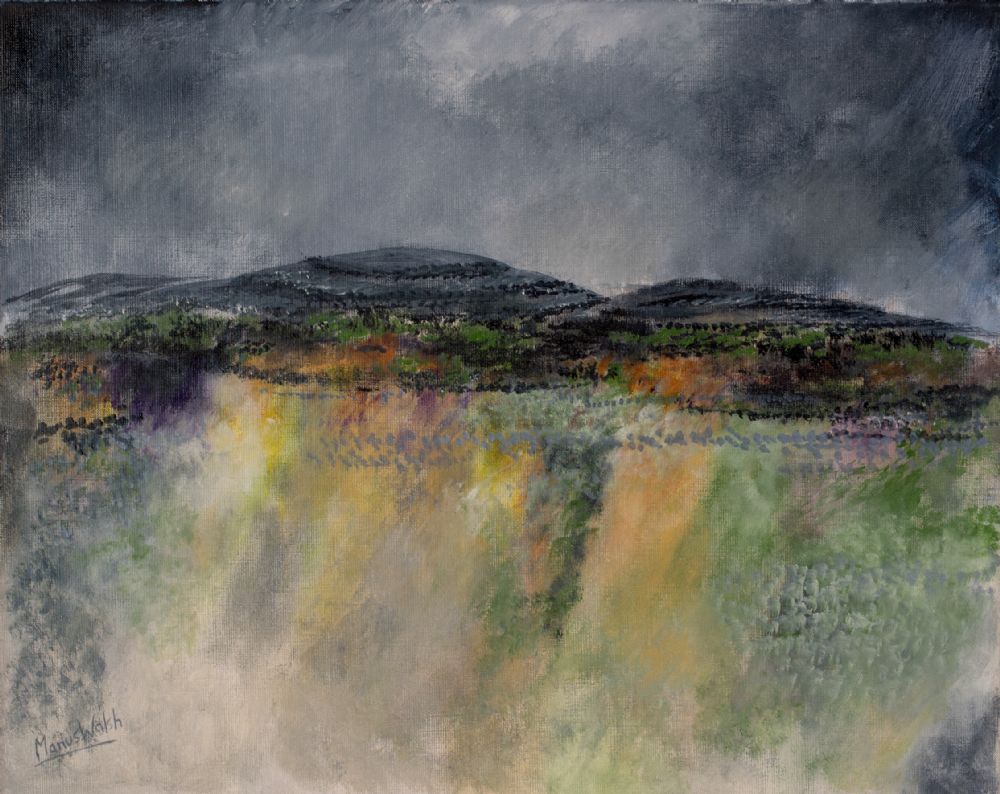 BURREN, SPRING FIELDS by Manus Walsh  at Dolan's Art Auction House