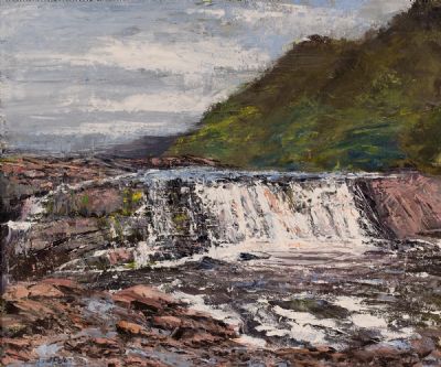 AASLEAGH FALLS, CO MAYO by David Paton  at Dolan's Art Auction House