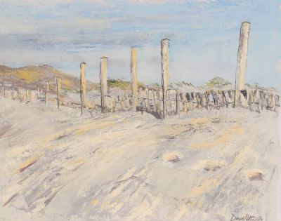 SAND DUNES AT DOGS BAY, CONNEMARA by David Paton  at Dolan's Art Auction House